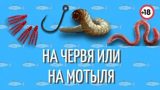 ЧЕРВЯ ИЛИ МОТЫЛЯ? Анекдот дня для рыбака | Смешно до слез | +18