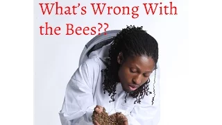 Doctor Buggs -What's Killing the Bees? (The Threat You Never Hear About)