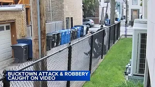 Man beaten in attack in broad daylight in Chicago