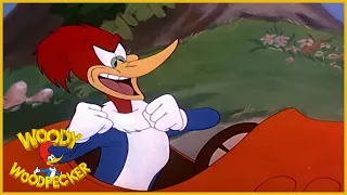 Woody Woodpecker | Well Oiled | Full Episodes