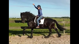 Finally I can ride Queen Uniek again! After my pregnancy! It is truly a wonder Friesian horse!