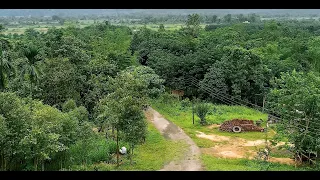 Village roads in Nagaland. Four seasons. Longpayimsen village, Mokokchung