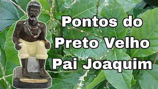 PONTOS DO PRETO VELHO PAI JOAQUIM (COM LETRA) || RICK DE OXUM