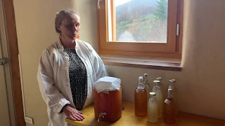 Kombucha video 1: bevanda a fermentazione naturale