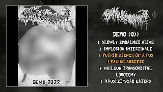 Cystic Embalmment - Demo 2022 MC FULL DEMO (Goregrind)