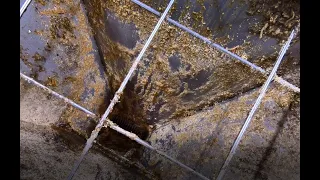 Princeton University's campus biodigester