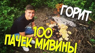 ЧТО БУДЕТ ЕСЛИ ПОДЖЕЧЬ 100 ПАЧЕК МИВИНЫ - ДОШИРАКА