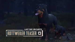 Last Day on Earth – Rottweiler Teaser