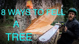 WORLD'S BEST TREE FELLING TUTORIAL! Way more information than you ever wanted on how to fell a tree!