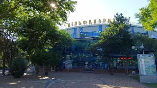 Представление в Евпаторийском Дельфинарии. Лето 2023.