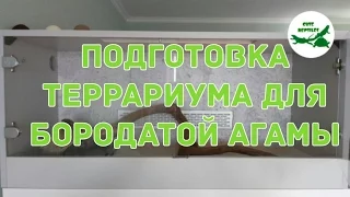 подготовка террариума для бородатой агамы