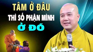 Tâm ở đâu thì số mệnh Của mình ở đó"Ai Cũng Nên Nghe 1 Lần"Thầy Thích Pháp Hòa