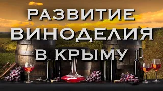 развитие виноделия в крыму | виноград | массандра | крымское вино |  винодел |  крымские вина