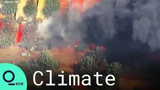 California Struggles to Contain Unprecedented Surge of Wildfires