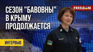 ❗️❗️ Гуменюк об ударах ВСУ по кораблям РФ в Севастополе: Украина освобождает свою землю!