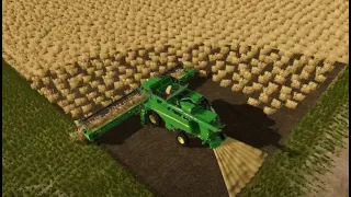 Road to 10 Million - First harvest of the largest field 🤠 Farming Simulator 20 E36