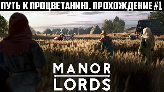 С нуля до БОЛЬШОГО ГОРОДА! Прохождение Manor Lords. Путь к процветанию. Высокая сложность 1