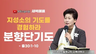 [지성소의 기도] 분향단 기도(출 30:1-10) 2024.4.21(주일) 새벽6시예배 #새벽예배 #그레이스힐링교회 #김록이목사 #100일작정기도 #유튜브실사원