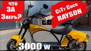 CityCoco RAYSON chopper 3000w... Покупка.. Электропроект часть 1