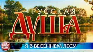 Я В ВЕСЕННЕМ ЛЕСУ ❀ РУССКАЯ ДУША ❀ ПЕСНИ, СПЕТЫЕ СЕРДЦЕМ ❀ АЛЕКСАНДР МАЛИНИН