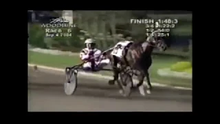 2004 Woodbine CASIMIR CAMOTION Canadian Pacing Derby Final Patrick Lachance