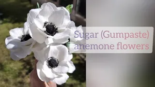 Gumpaste (suger, cold porcelain) anemona flower. Анемон из мастики или холодного фарфора