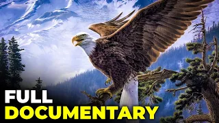 Wings of Majesty: The Epic Tale of Eagles in a Cinematic Spectacle! 🦅