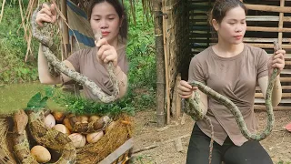 The girl collected cucumbers, went to the market and suddenly discovered a snake eating chicken eggs