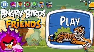 Angry Birds Friends: Tiger Day Tournament Walkthrough Gameplay