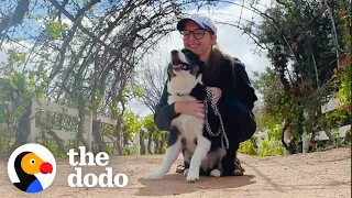 When A Dog Is The Best Antidepressant | The Dodo