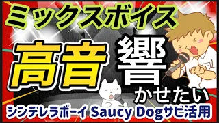 ミックスボイス高い声出し方練習方法　高い声に芯をつけて響かせる※シンデレラボーイSaucy Dogサビ引用