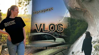 Спонтанный VLOG | КЛЕЩ У БРУНО | ДОКУМЕНТЫ ДЛЯ ВНЖ | БУДУ ЖИТЬ ОДНА