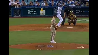 Goose Crashes Dodgers/Padres MLB Playoffs 2022