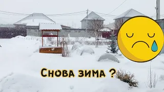 Обзор рассады🌱🌱🌱! Пикируем томаты 🍅! Перцы 🌶! Баклажаны 🍆!