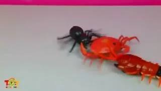 Kids168-Giant Scolopendra Creepy Crawlers Spider Crab Innovation Toys