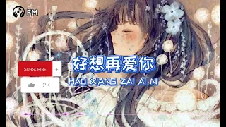 好想再爱你 ❴ Hao Xiang Zai Ai Ni ❵ Lyric dan terjemahan #femusic#youtube#youtuber#lyrics#song#subscribe