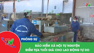 Bảo hiểm xã hội tự nguyện – điểm tựa tuổi già cho lao động tự do