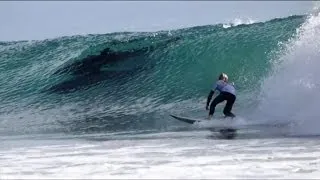 Surfing Dolphins Steal The Show At Santana Barbara Competition