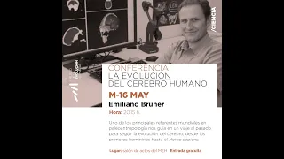 La evolución del cerebro humano, el nuevo libro de Emiliano Bruner