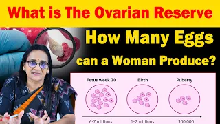 What Is The Ovarian Reserve | How Many Eggs Can A Woman Produce | Dr. Geetha Reddy