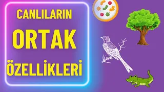 CANLILARIN ORTAK ÖZELLİKLERİ TYT Biyoloji Konu AnlatımıTam Tekrar 1 (Biyoloji Full)