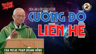 Bài Giảng Hay Nhất Cha Hồng về dụ ngôn người Cha nhân hậu | Cường độ liên hệ 🎙️ Cha Phạm Quang Hồng