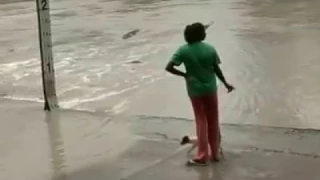 Watch this woman see off a crocodile...with her flip flop! She's braver than us!