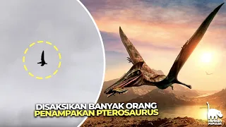 Ternyata Sampai Saat ini Belum Punah!? inilah Penampakan² Dinosaurus yang Terekam Kamera!