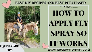 Applying Fly Spray the RIGHT way! DIY fly spray and Donkey Care