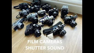 Film Cameras l 17 Shutter Sounds