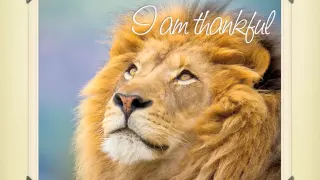 THE BEST THANKSGIVING SONG EVER - THE POWER OF GRATITUDE, PRAISE, WORSHIP, ADORATION, APPRECIATION