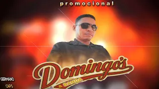 PROMOCIONAL DOMINGOS E BANDA AO VIVO