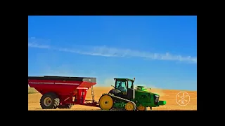 COLORFUL HARVEST +Dolby vision in 8K 60p | HDR | Nature Music
