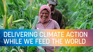 COP27 | Delivering Climate Action While We Feed the World